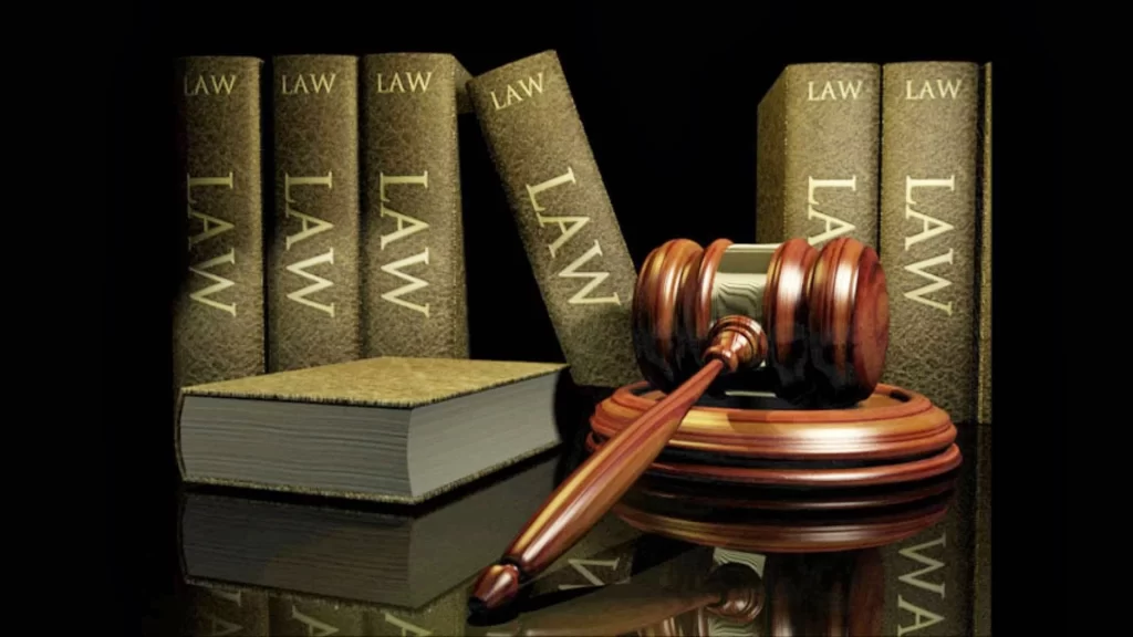 Law Consultant for NRI in India