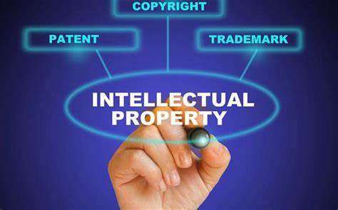 IP disputes law firms for NRI in India